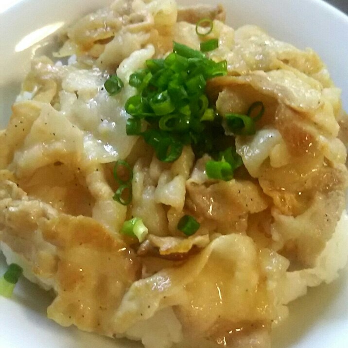 塩豚丼